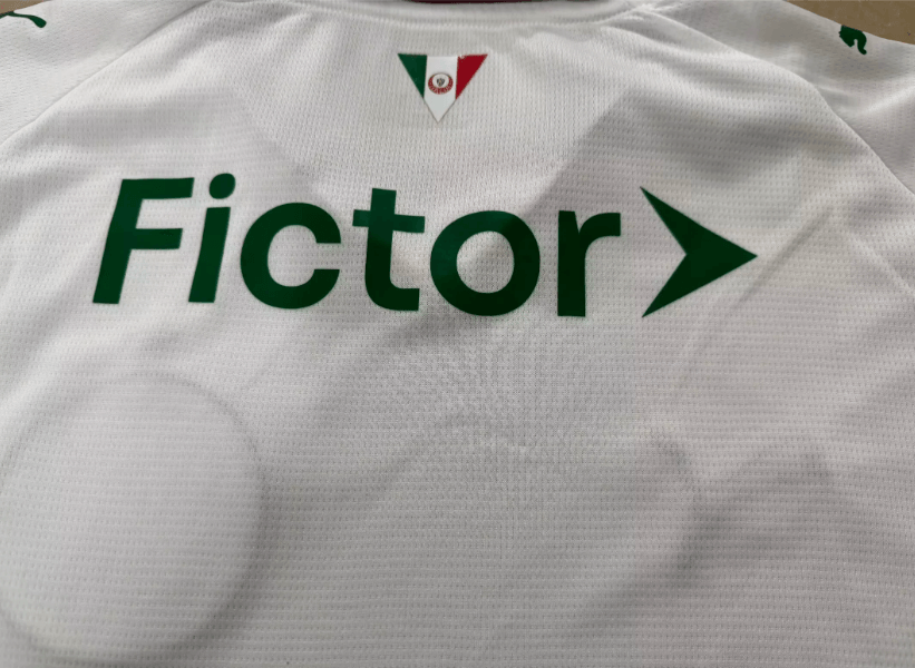 26-27 Palmeiras Away Jersey 5A Quality - 图片 4
